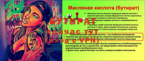 индика Алексин