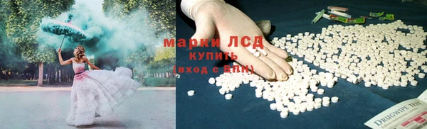 индика Алексин