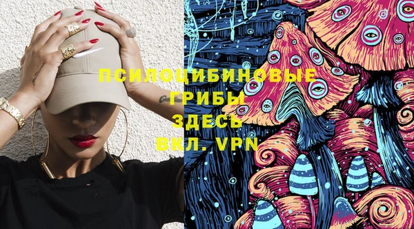 ешки Алзамай