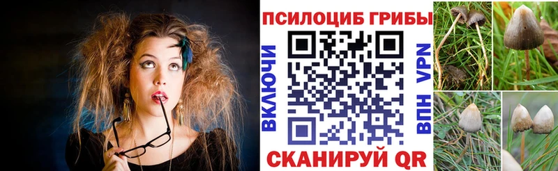 как найти наркотики  Котельники  Псилоцибиновые грибы Magic Shrooms 